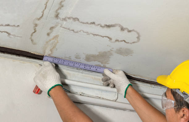 Reliable Water Damage contractor in New Augusta, MS by Water Damage Irwin